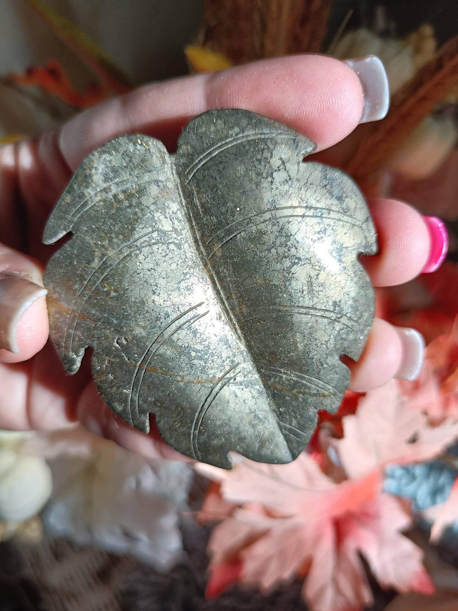 Pyrite Crystal monasteria leaf