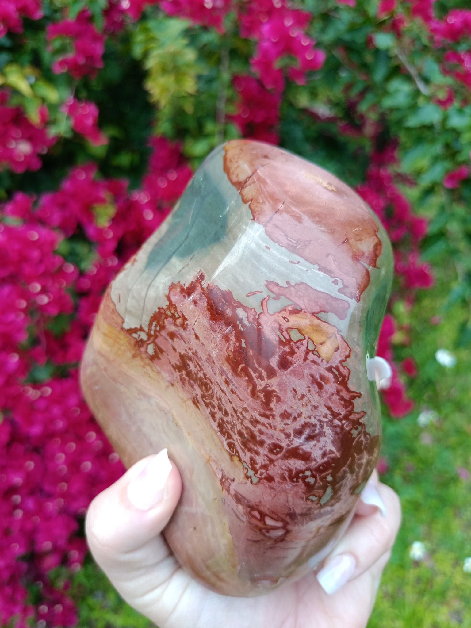 Polychrome Jasper freeform