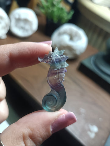 Fluorite SeaHorse