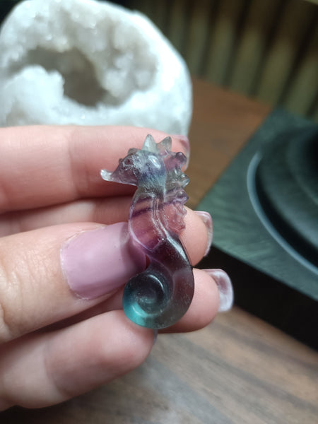 Fluorite SeaHorse