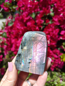 Labradorite Freeform P1