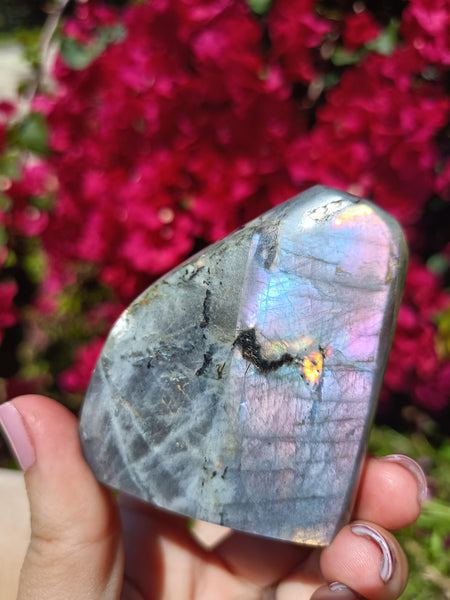 Labradorite blue & pink P2