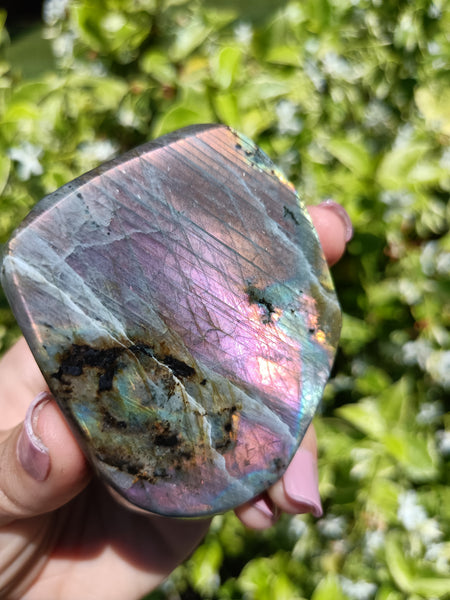 Pink Labradorite P4