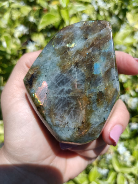 Pink Labradorite P4