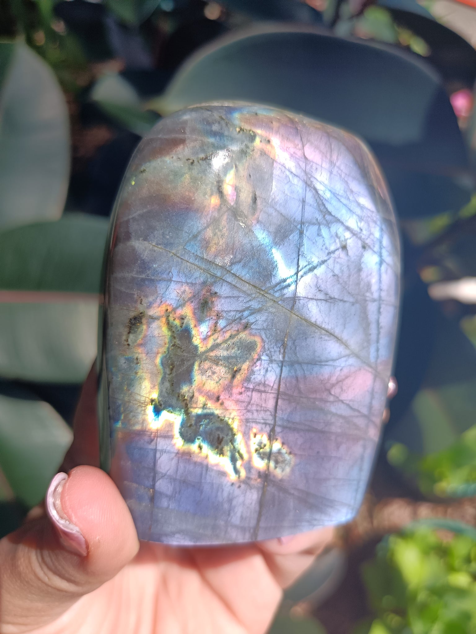 Labradorite Freeform P8