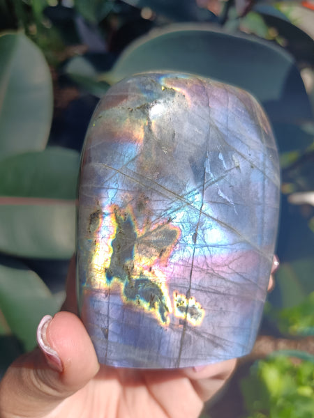 Labradorite Freeform P8