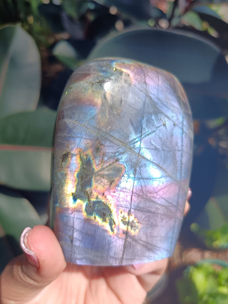 Labradorite Freeform P8