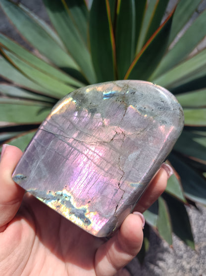 Labradorite Freeform P10