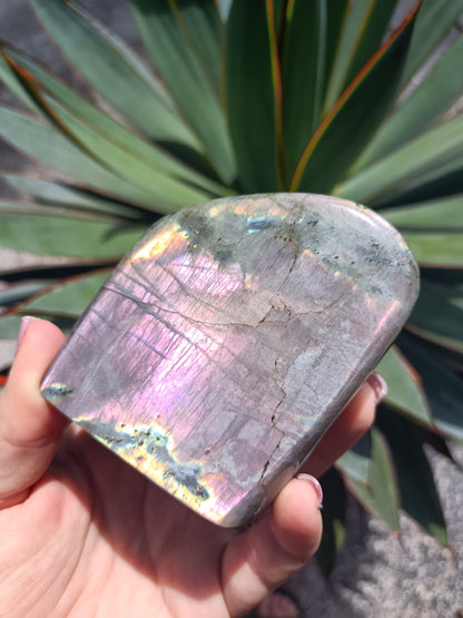 Labradorite Freeform P10