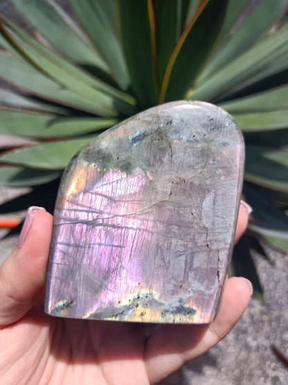 Labradorite Freeform P10