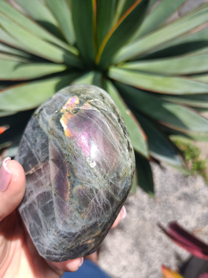 Labradorite Freeform P10