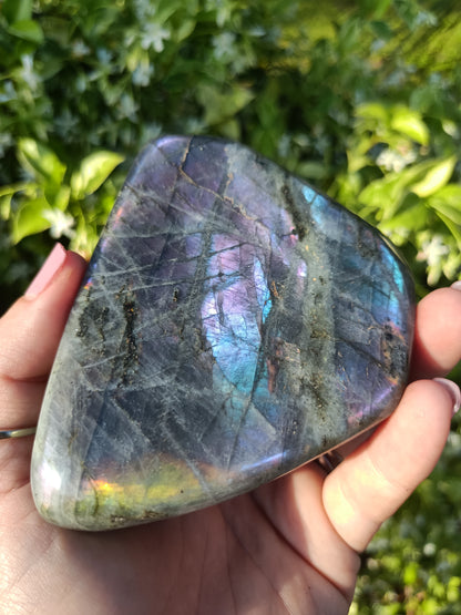 Labradorite Freeform P9