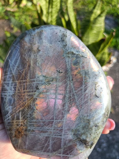 Sunset Labradorite Freeform P5