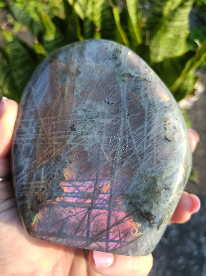 Sunset Labradorite Freeform P5