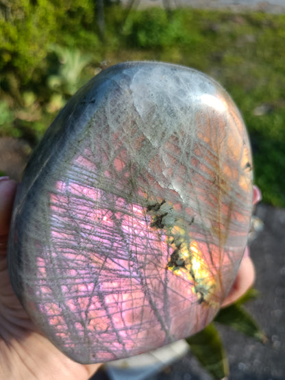 Sunset Labradorite Freeform P5
