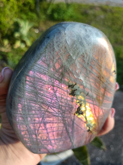 Sunset Labradorite Freeform P5