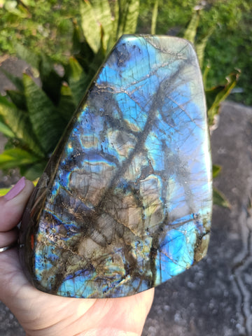 Labradorite Freeform B5