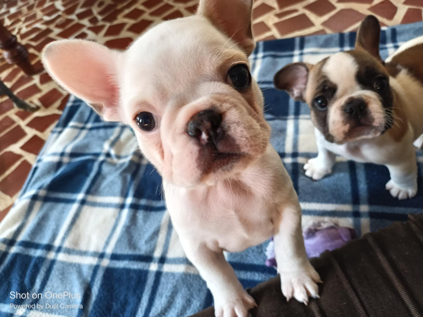 Female Nova And John Boy