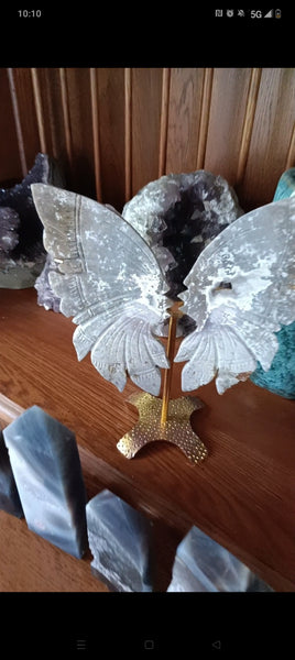 Ocean Jasper Crystal Butterfly carving with stand