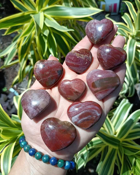 Petrified Woodstone Fossil Crystal Hearts