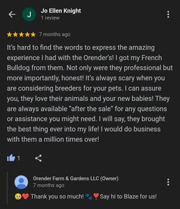 OFG 5 Star Review on Google e