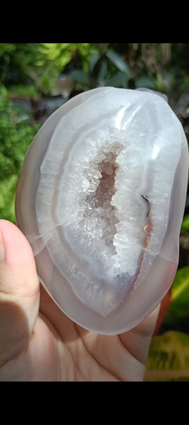 Agate Sea Shell carving