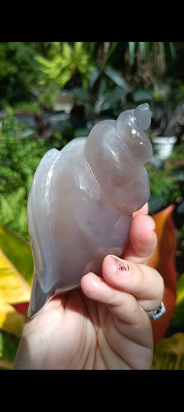 Agate Sea Shell carving