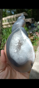 Agate Sea Shell carving B