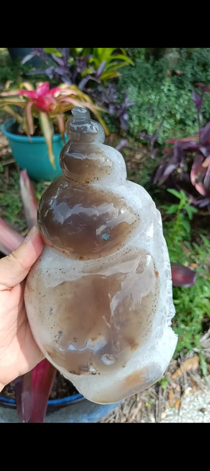 Agate Sea Shell carving C xLg