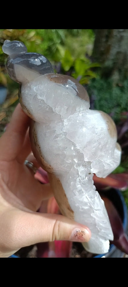 Agate Sea Shell carving C xLg