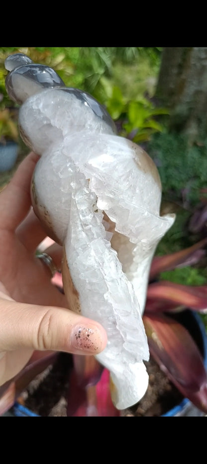 Agate Sea Shell carving C xLg