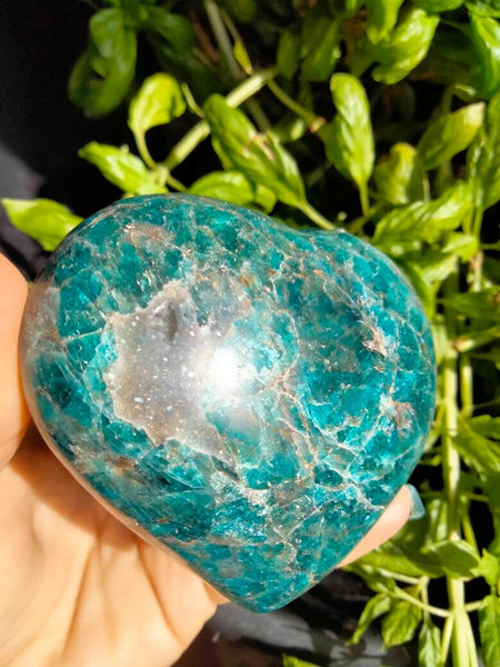 Apetite Crystal Heart