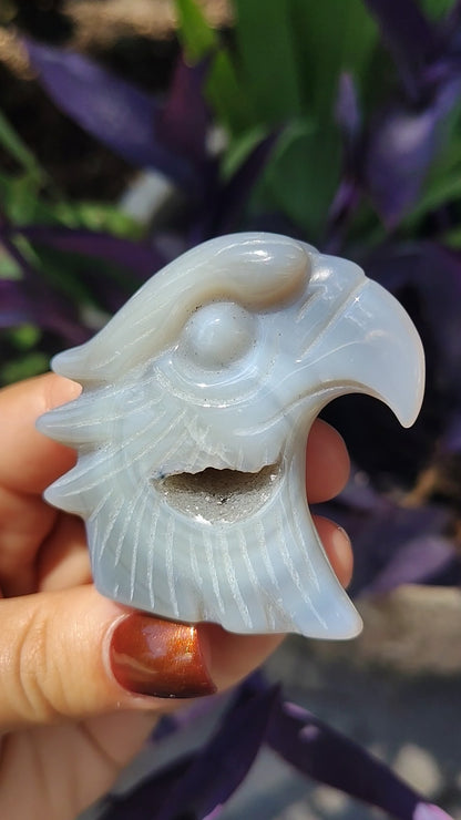 Agate Eagle carving with druzy pocket