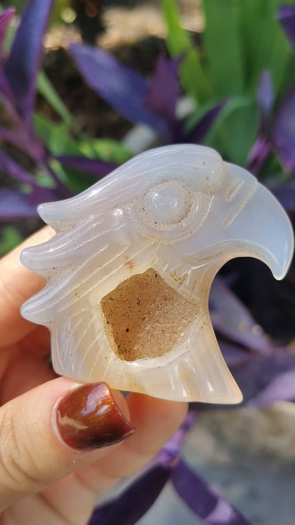 Agate Eagle with cave druzy #3