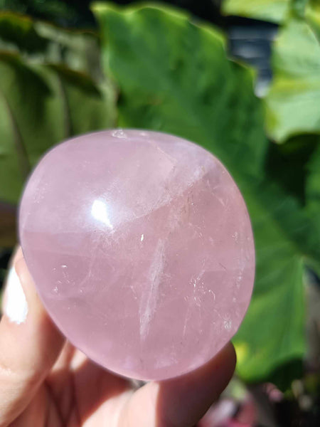 Pink Rose Quartz Crystal Palm Stone