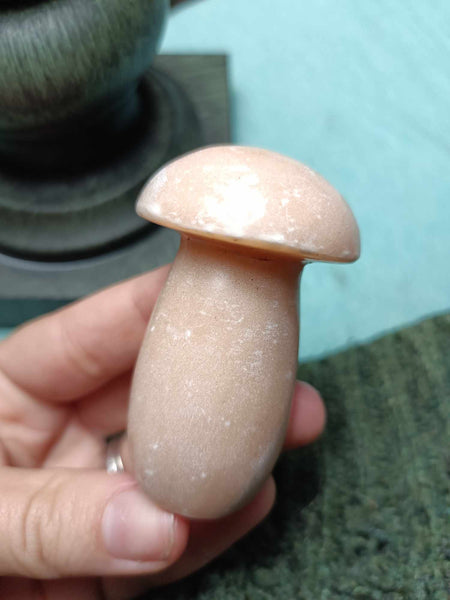 Natural Sandstone Crystal mushroom