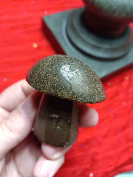 Ocean Jasper Crystal Mushroom