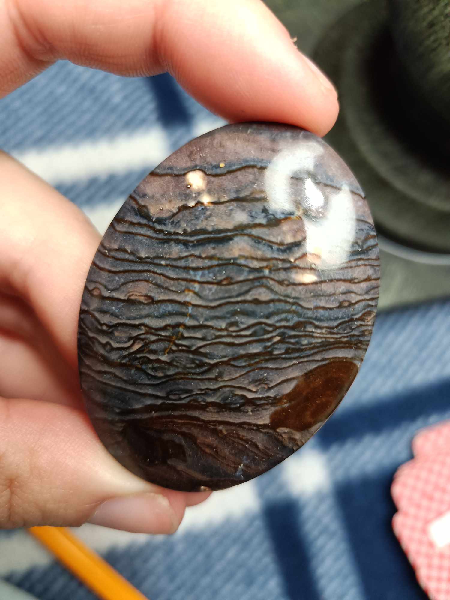 Picture Jasper Cab