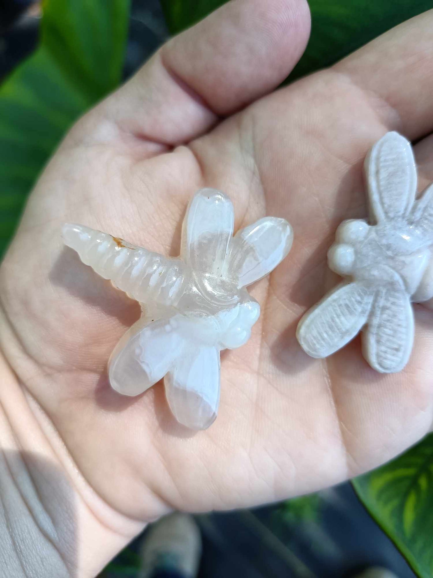 Agate Crystal Dragonfly Carving