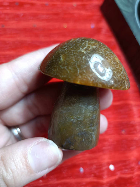 Ocean Jasper Crystal Mushroom