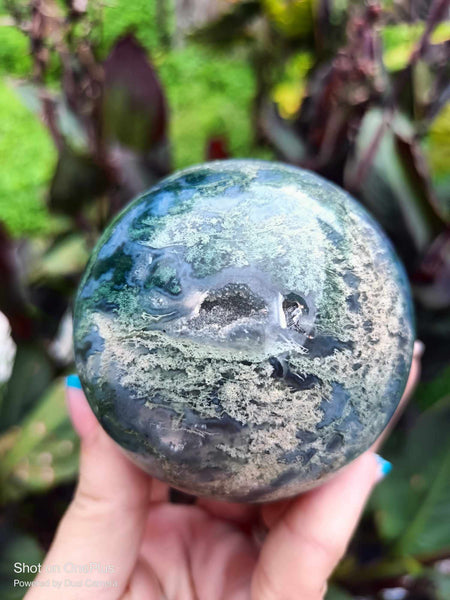 Moss Agate Crystal sphere high Quality with cave druzy