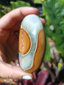 Polychrome Jasper Palm Stone