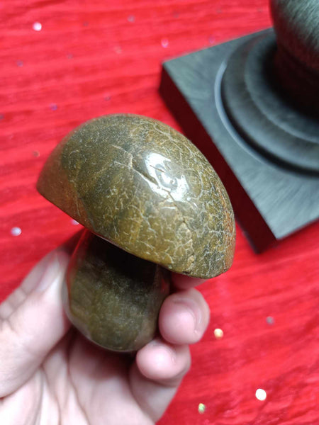 Ocean Jasper Crystal Mushroom