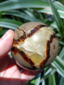 Septarian Sphere