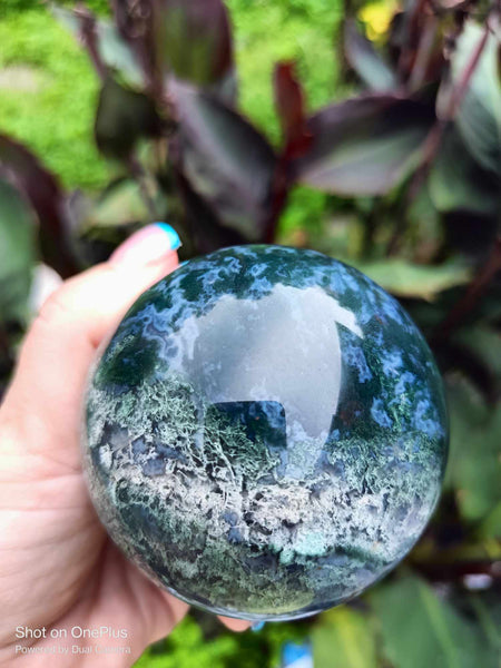 Moss Agate Crystal sphere high Quality with cave druzy