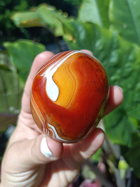 Sardonyx Palm Stone