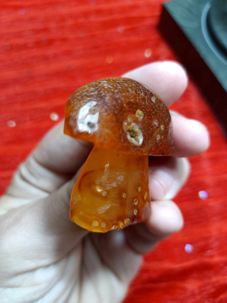 Crystal Mushroom Agate