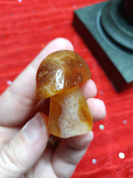 Crystal Mushroom Agate