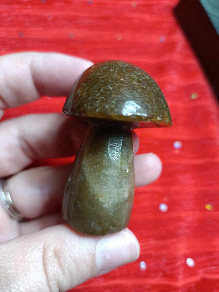 Ocean Jasper Crystal Mushroom