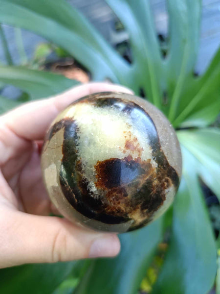 Septarian Sphere